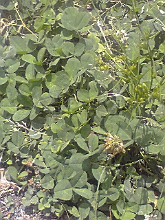 090602_1213~02.jpg
