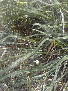 090602_1215~02.jpg