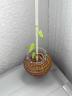 090612Ђ邪.jpg