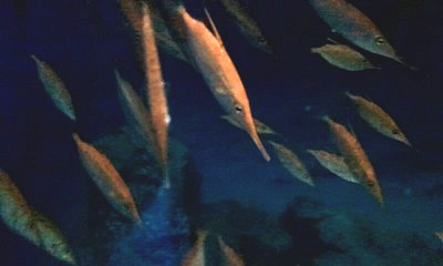 2012_07_04_15_10_58_400.jpg