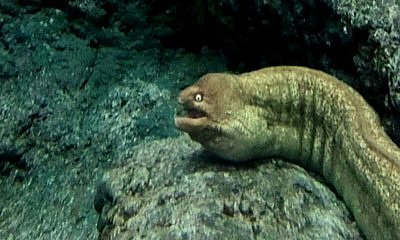2012_07_04_15_20_12_400.jpg