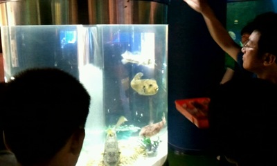 2012_07_04_15_36_28_400.jpg