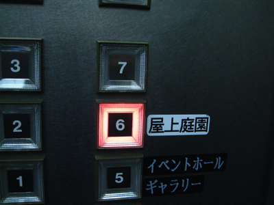 IMG_0331_400.png
