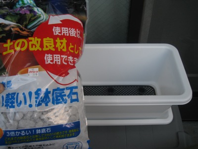 IMG_0763軽石.jpg