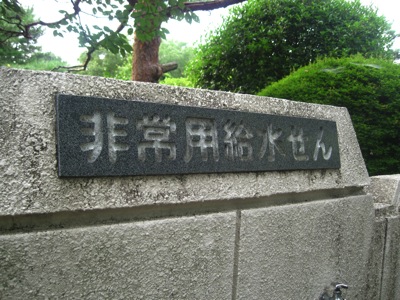 IMG_0908_400.jpg